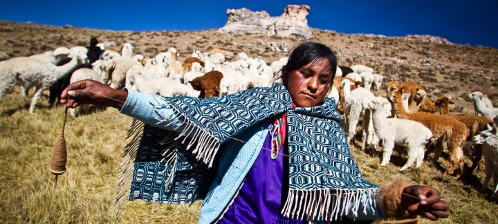 Una joven de Nuñoa, indígenas en parte quechuas de Perú, hila alpaca a mano.