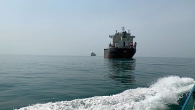 Petroleros y cargueros iraníes en el Golfo Pérsico