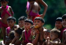 Niños yanomamis en Brasil. Andressa Anholete / Gettyimages.ru