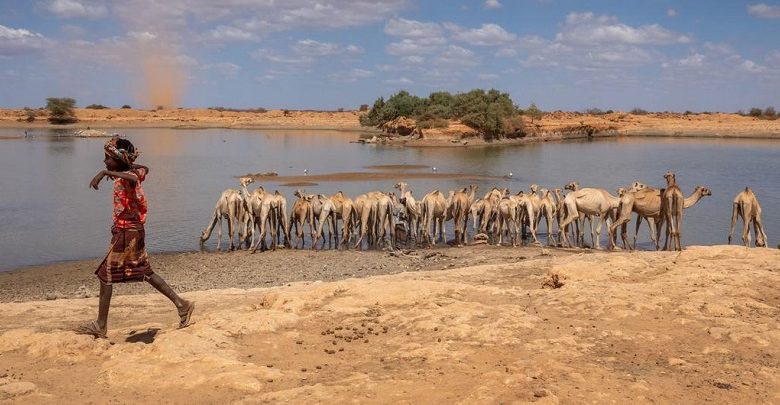 © UNICEF/Mulugeta Ayene Un niño llega a una fuente de agua en la región somalí de Etiopía.