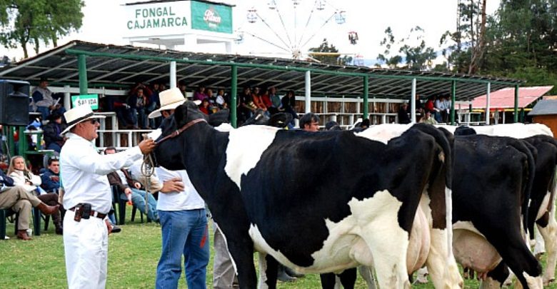 Feria Fongal Cajamarca